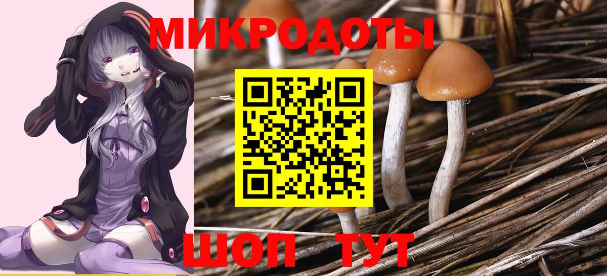 Псилоцибиновые грибы мицелий Лянтор